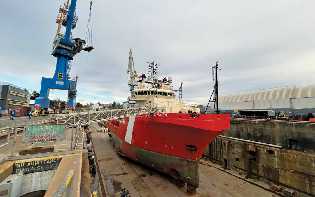 Taking Care of the Atlantic Raven: A story of problem-solving and teamwork